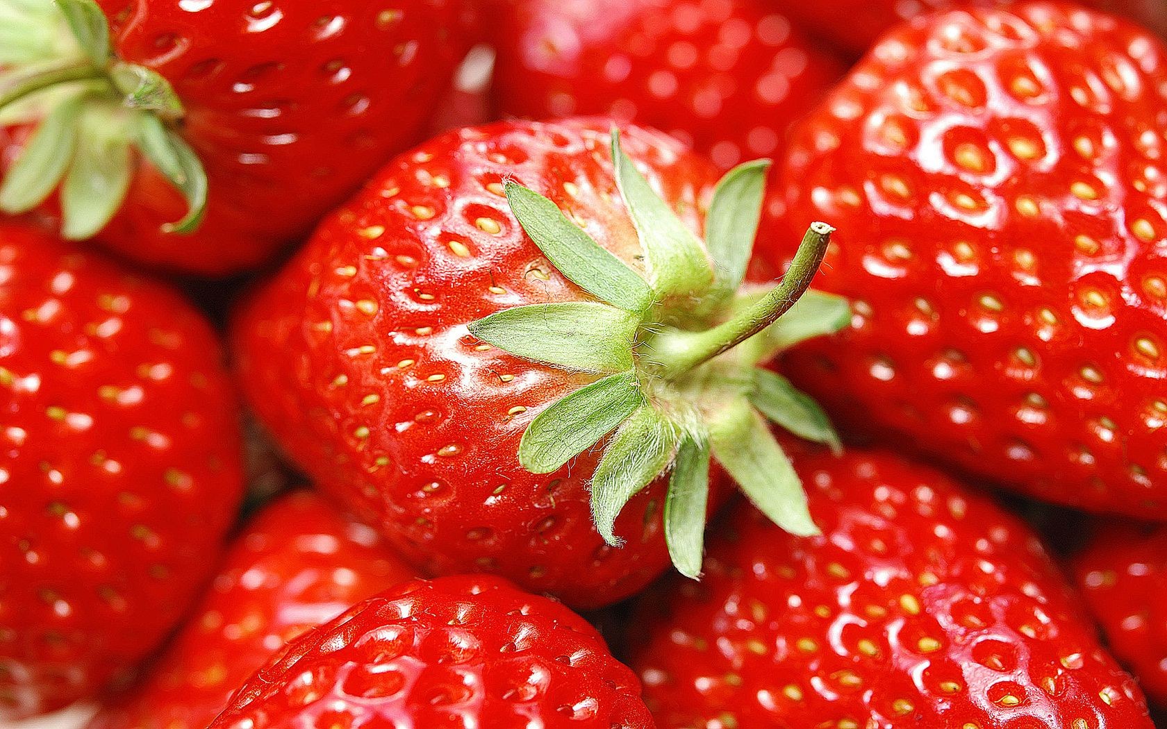 baies fraise juteuse fruits délicieux baie santé confiserie alimentaire doux en bonne santé délicieux fraîcheur alimentaire feuille été rafraîchissement lumineux nature l agriculture