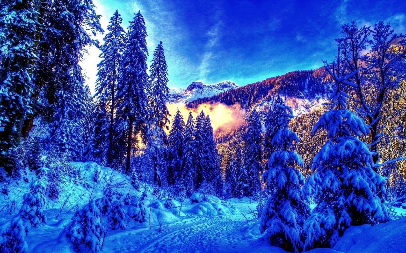 inverno neve legno natura albero freddo paesaggio scenico stagione montagna gelo ghiaccio cielo