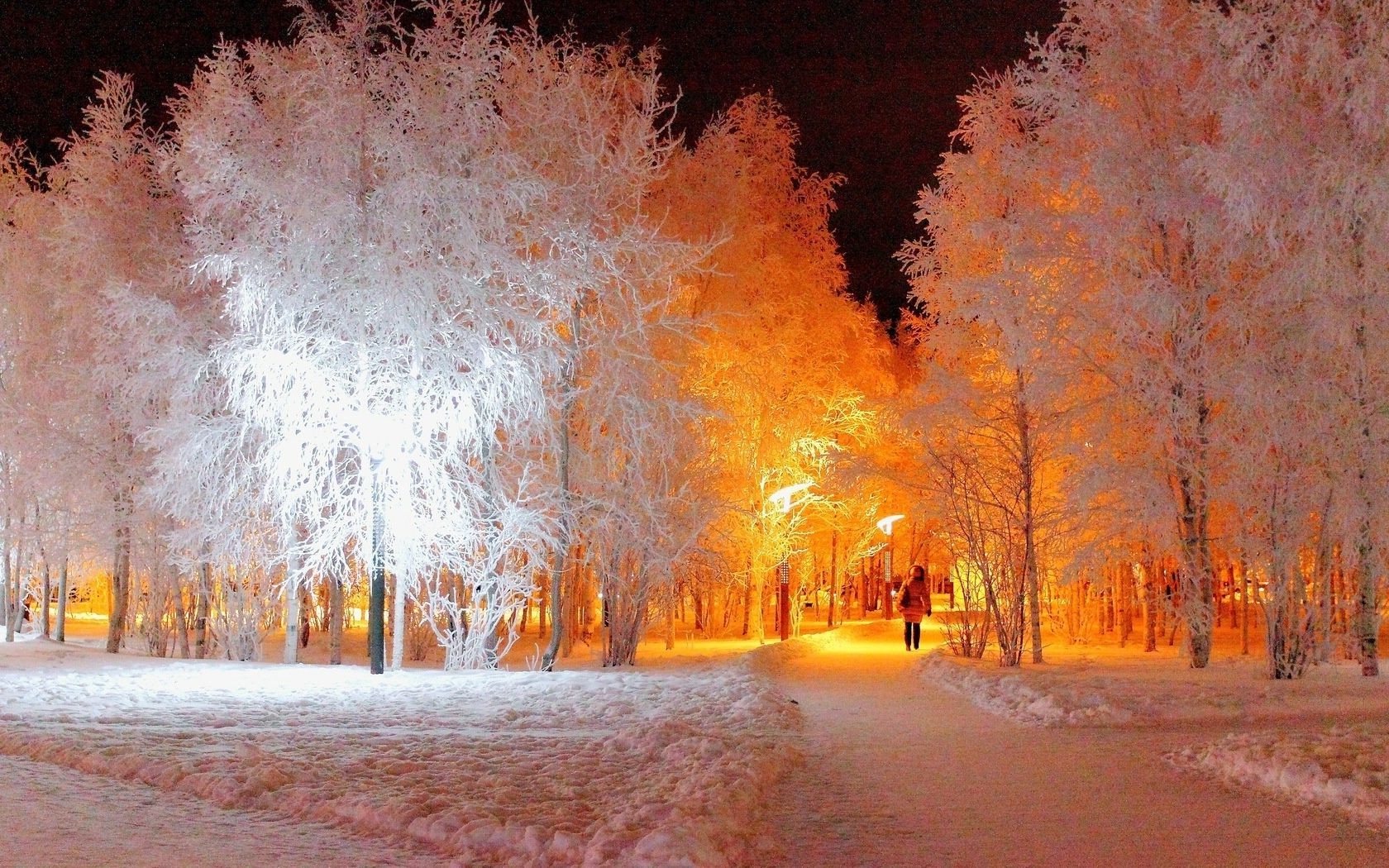 winter snow frost fall tree cold outdoors landscape wood frozen nature weather season ice light fog road leaf park