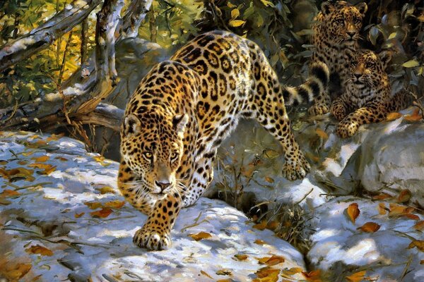 Leopardo salvaje furtivo