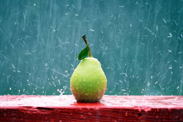 A lonely pear tree under heavy rain