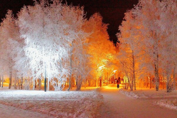 Night snow-covered park with illuminated alley