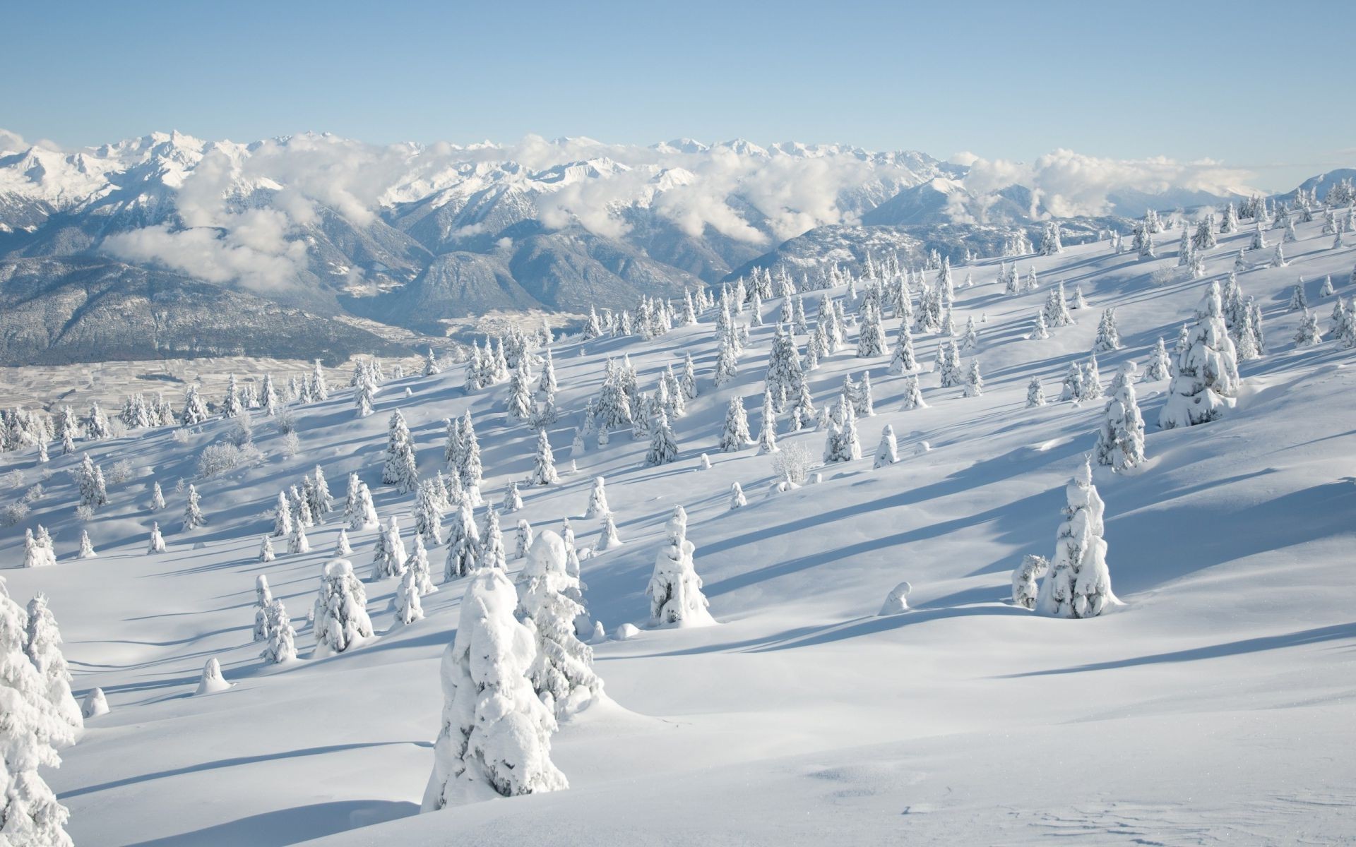 hiver neige froid gel glace congelé montagnes voyage nature paysage