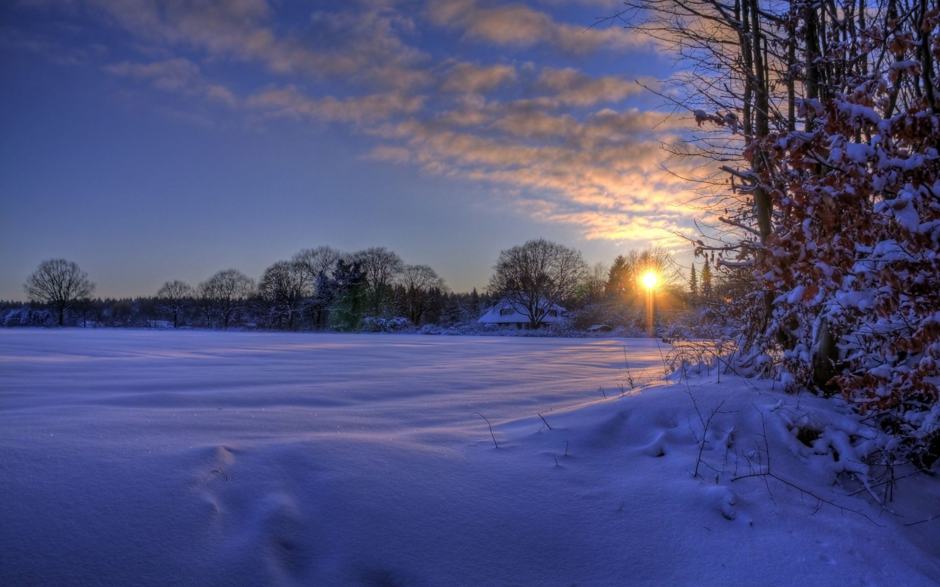 inverno neve paesaggio congelato freddo albero gelo ghiaccio alba tramonto sera lago tempo natura acqua scenico bel tempo cielo luce