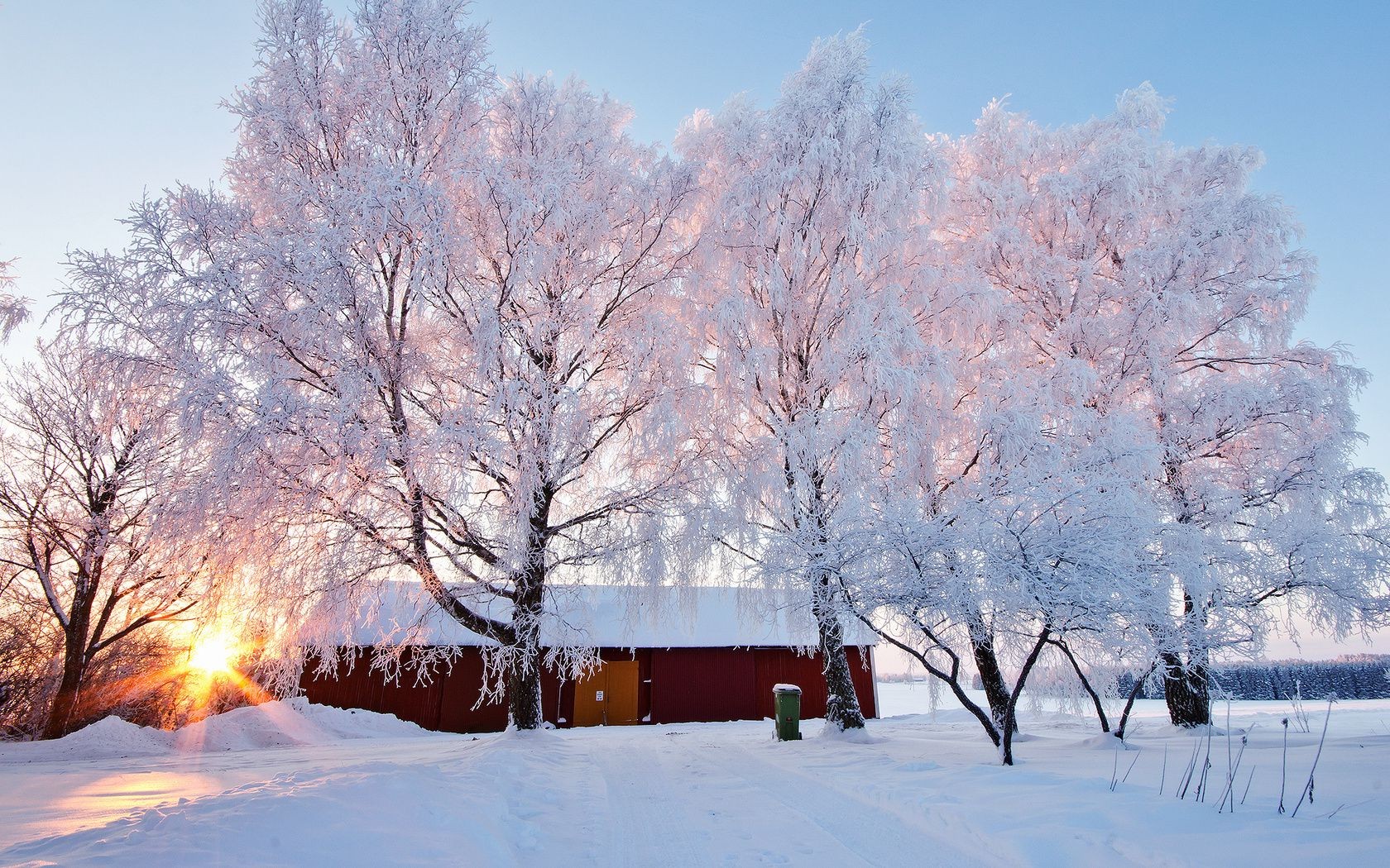 inverno neve freddo albero gelo congelato stagione paesaggio legno scenico ghiaccio meteo gelido ramo neve-bianco