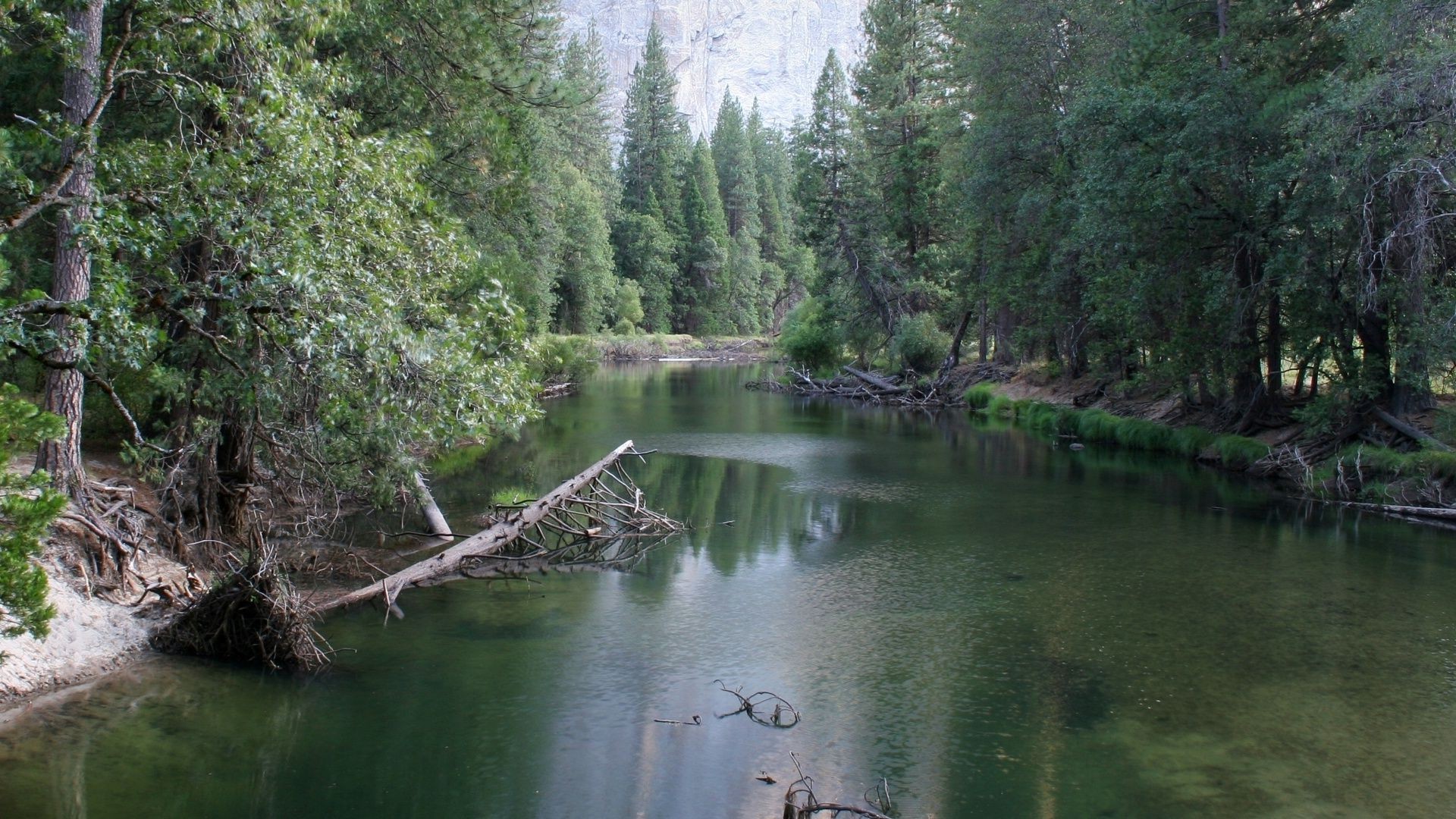 rivers ponds and streams water river landscape nature wood lake tree reflection travel stream outdoors environment scenic mountain summer park