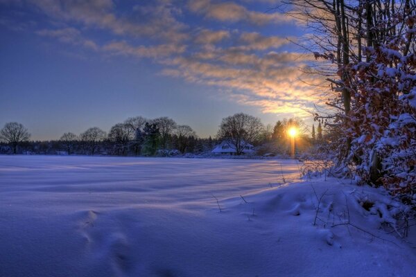 Tramonto freddo nella foresta invernale