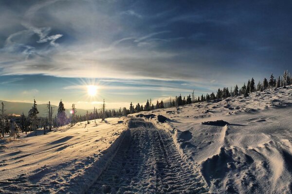 Der Weg über den schneebedeckten Boden in den Wald