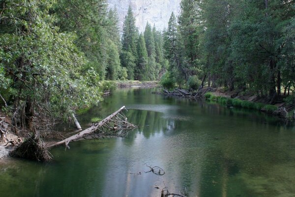 The beauty of nature the beauty of the river