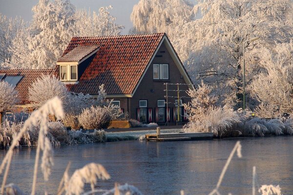 Casa en un bosque cubierto de nieve en la orilla del lago