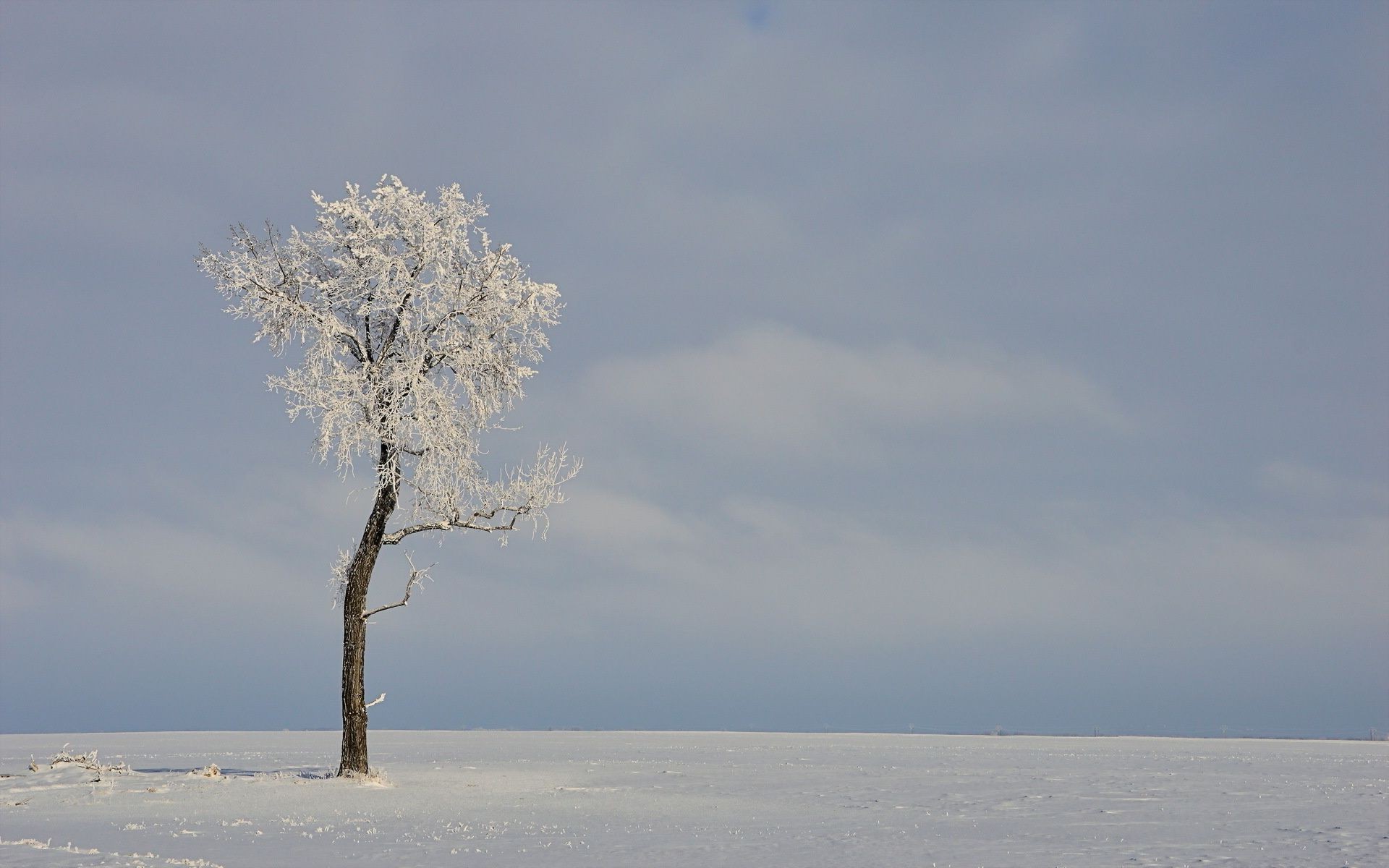 winter snow nature cold frost landscape ice sky alone outdoors tree sun water fair weather frozen fog blue sky weather dawn