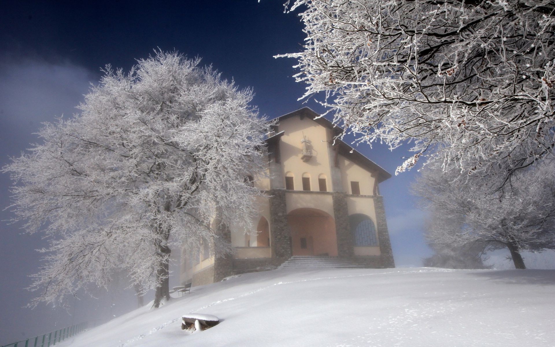 hiver neige froid gel congelé glace météo bois bois tempête de neige saison neige-blanc givré paysage neigeux noël glace neige