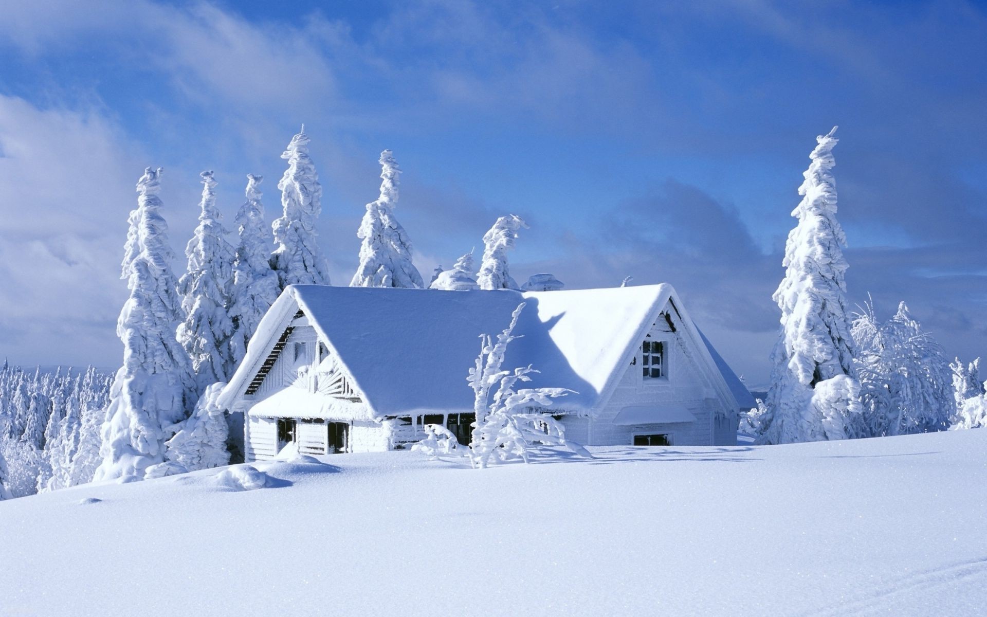 winter schnee kälte eis gefroren berge frost frostig hütte landschaft wetter landschaftlich bungalow holz chalet haus verschneit resort schneewehe