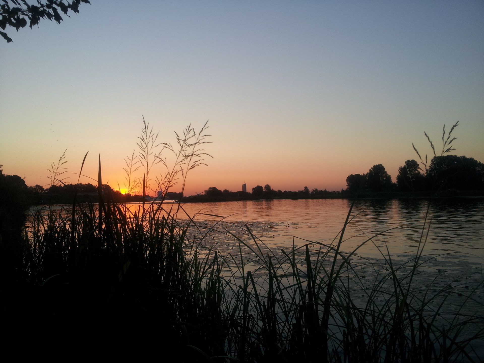 the sunset and sunrise sunset dawn water evening dusk reflection landscape sun lake nature silhouette sky backlit tree light beach marsh