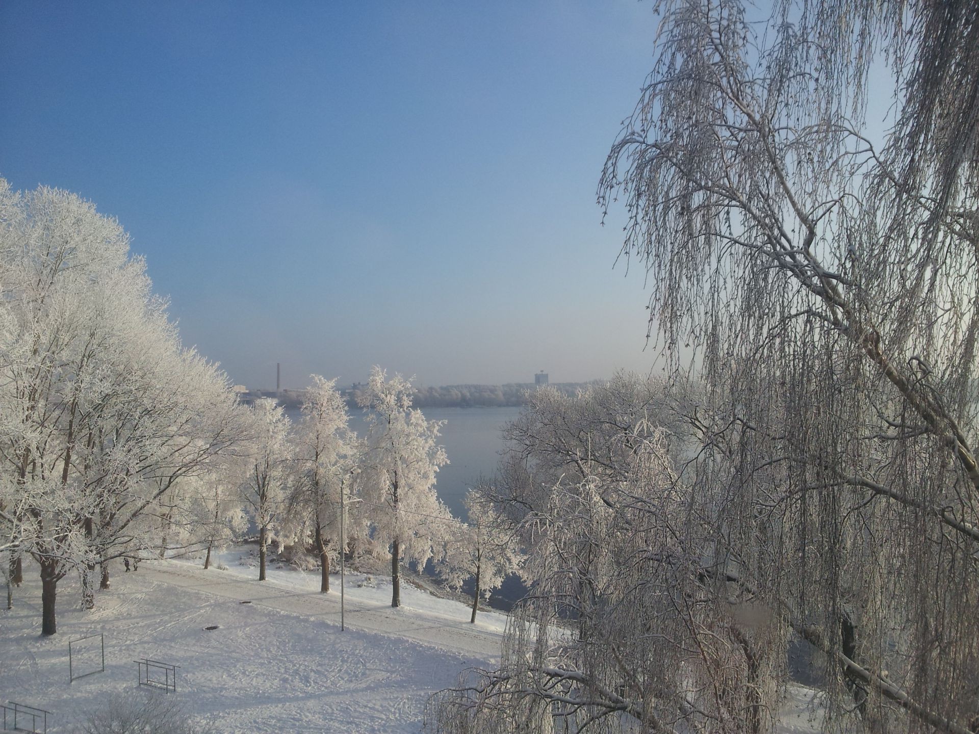 зима сніг холодна дерево мороз деревини заморожені лід пейзаж туман сезон погода філія природа світанок морозний парк туман пургу