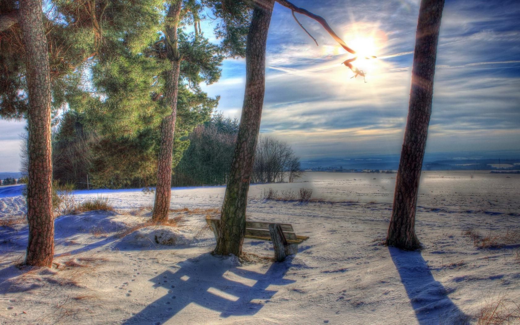 paesaggio spiaggia paesaggio sole natura cielo viaggi albero acqua alba bel tempo legno all aperto estate tramonto sabbia oceano mare mare luce