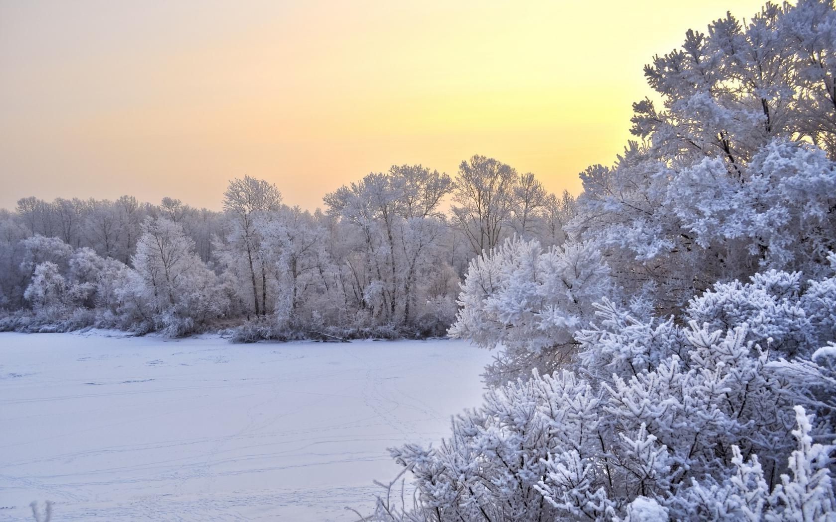 wiosna zima śnieg mróz zimno mrożone pogoda drzewo krajobraz sezon lód drewno mroźny śnieg oddział sceniczny śnieg-biała scena lodowa zaspa śnieżna