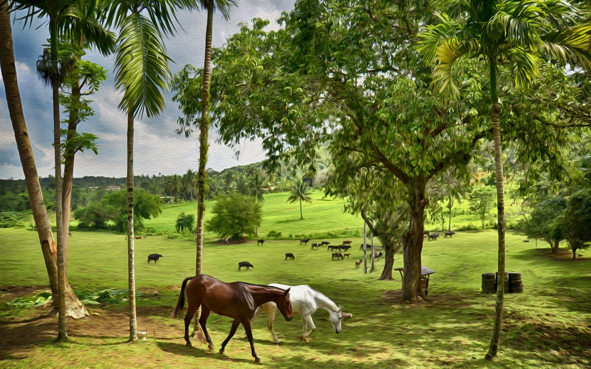 desenhos árvore natureza verão ao ar livre tropical grama agricultura sol bom tempo folha fazenda flora palma paisagem rural bela viajar