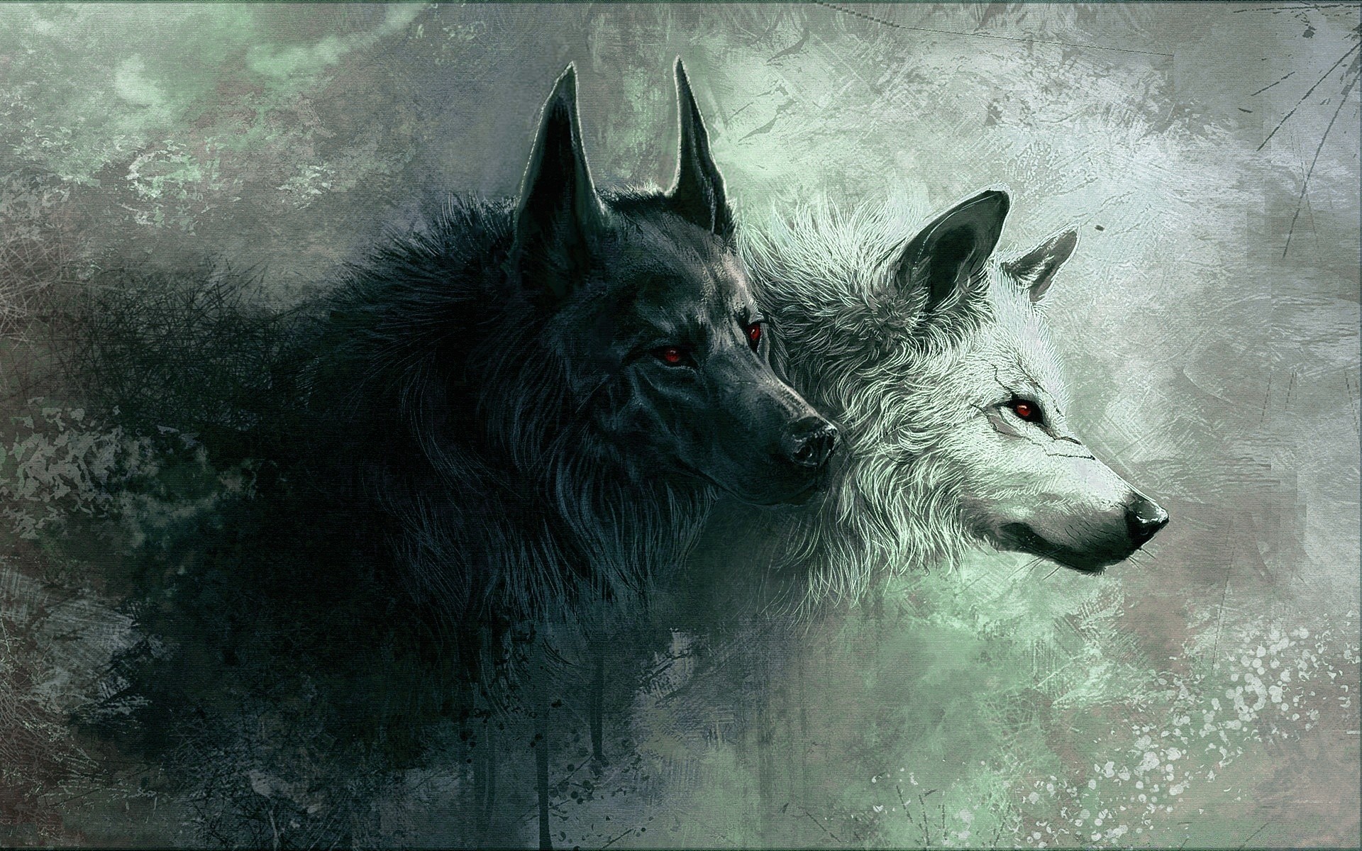 рисунки собака млекопитающее портрет один кинолог животное милые волк на открытом воздухе глаз просмотр