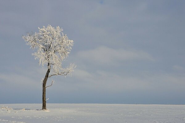 Kalter verschneiter Winter