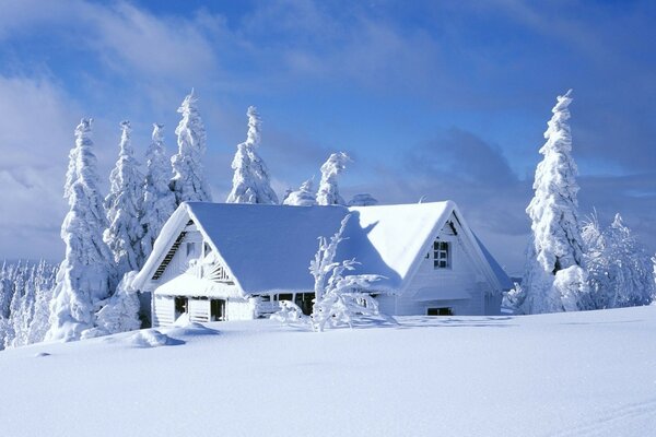 Casa de nieve de invierno en el bosque