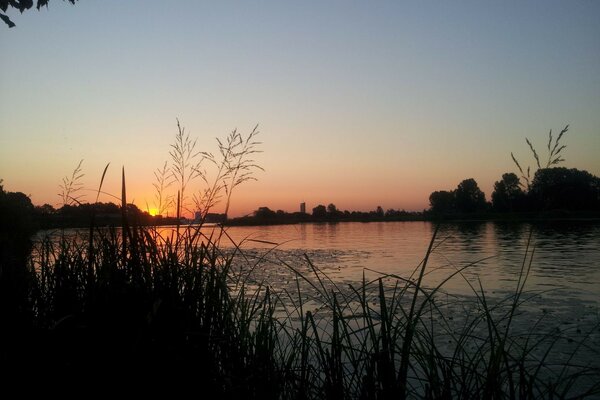 Hermosa puesta de sol en la naturaleza junto al lago