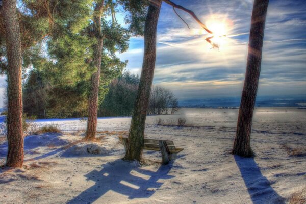 Sunny landscape. Sandy beach