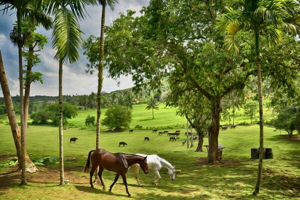 Horses graze on a green meadow