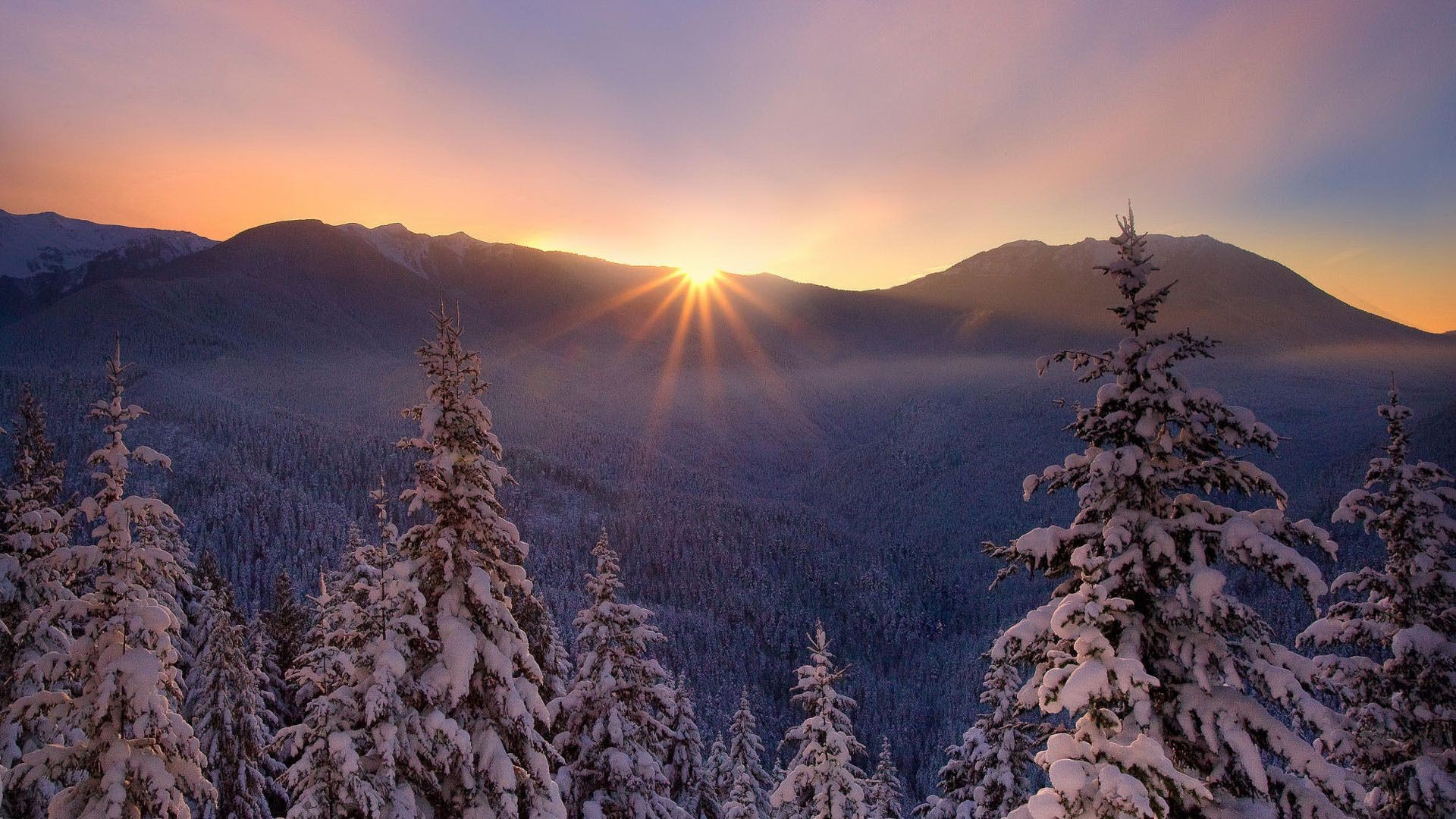 hiver neige montagnes paysage froid bois gel aube nature bois beau temps à l extérieur coucher de soleil ciel glace scénique brouillard conifères evergreen