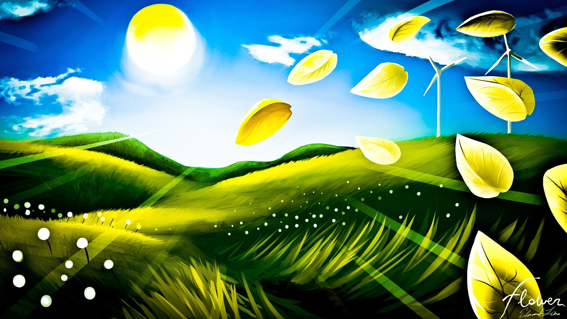 drawings leaf nature desktop sun illustration grass light water summer flora tropical sky