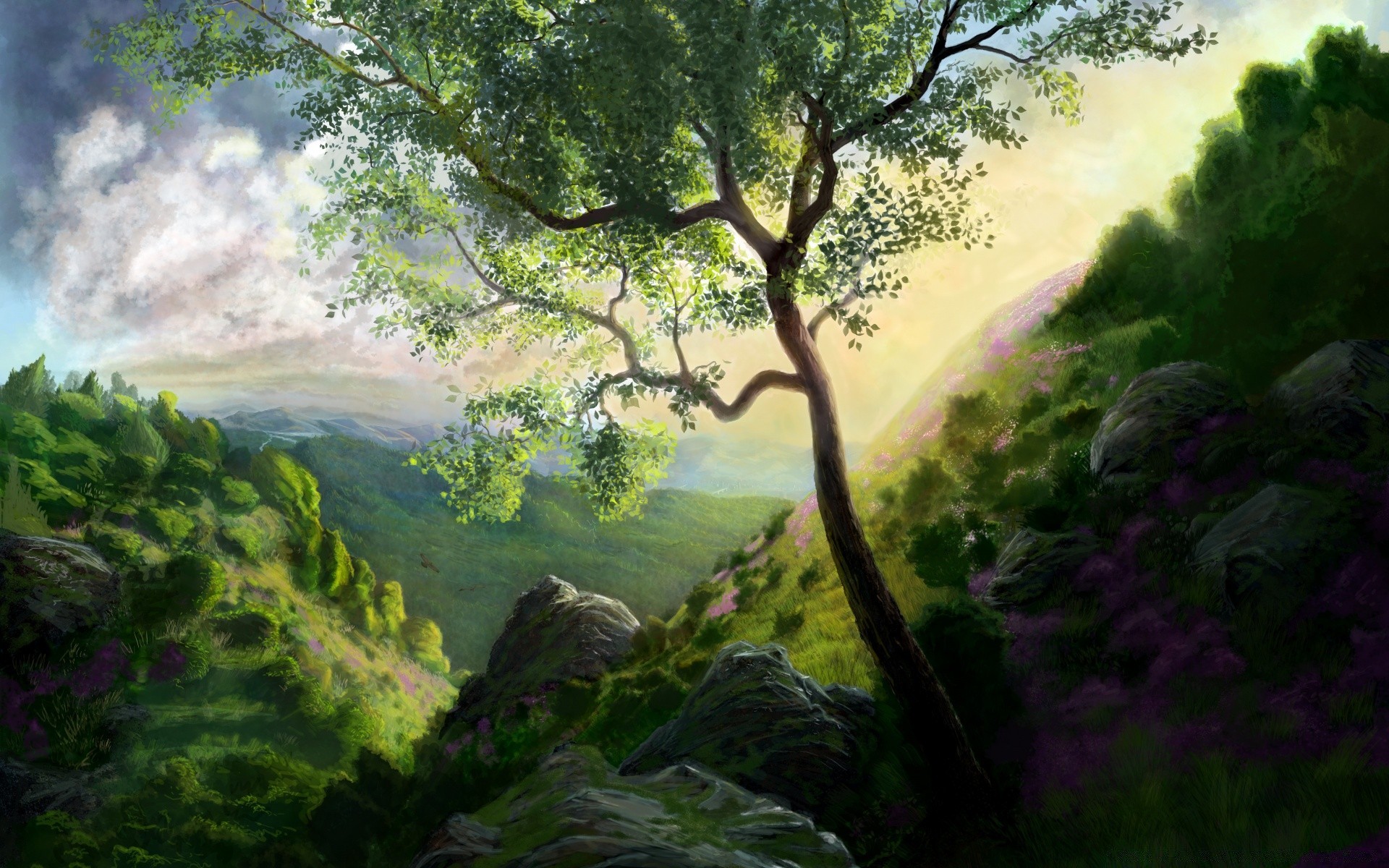 dibujos árbol paisaje madera naturaleza hoja agua escénico al aire libre medio ambiente parque amanecer montañas niebla selva tropical verano exuberante niebla viajes flora