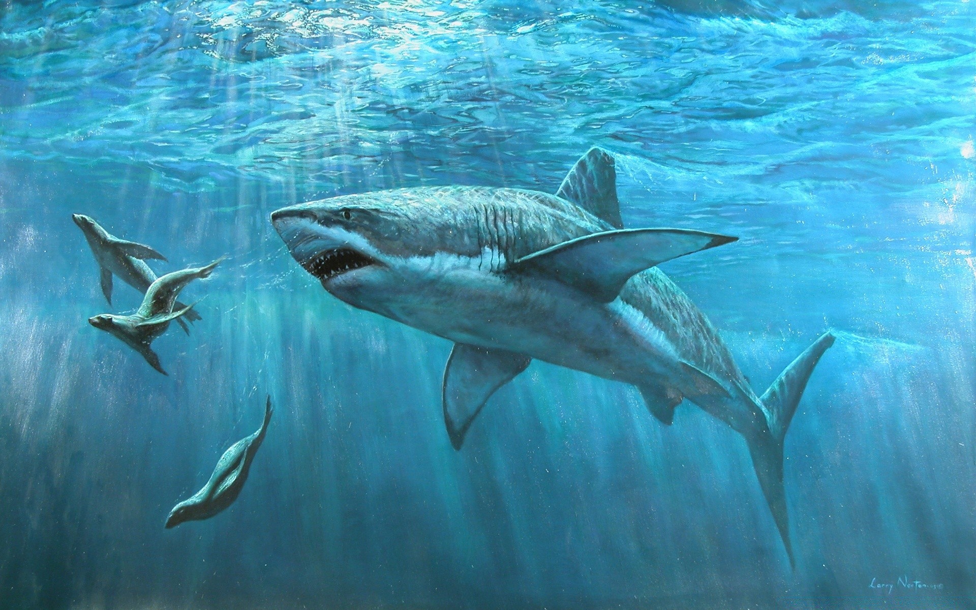 drawings underwater swimming fish wildlife nature water shark tropical blower