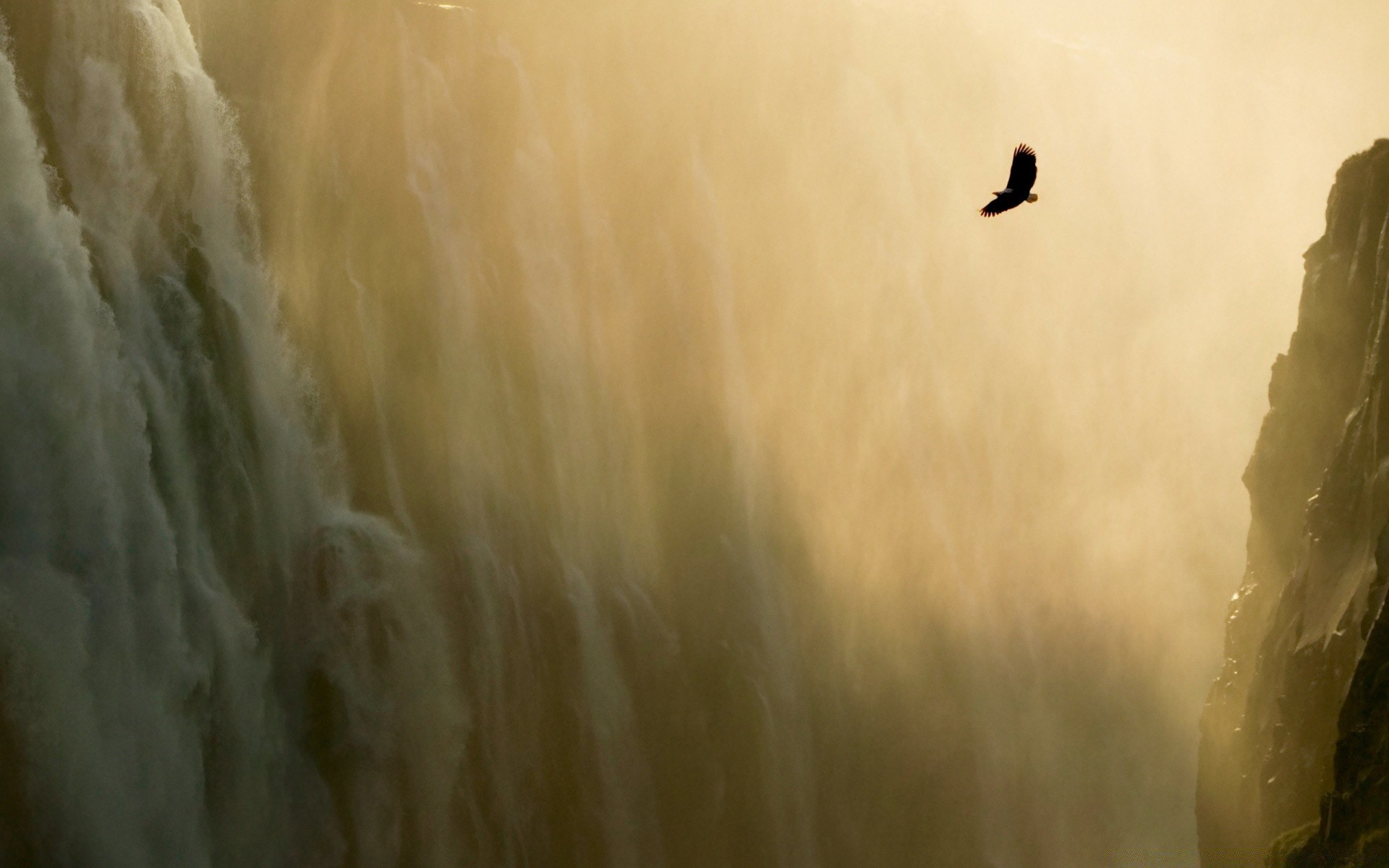 zeichnungen landschaft sonnenuntergang nebel im freien vogel natur tageslicht wasser sonne dämmerung hintergrundbeleuchtung