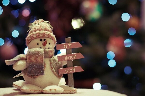 Bonhomme de neige de Noël dans un chapeau près de la plaque