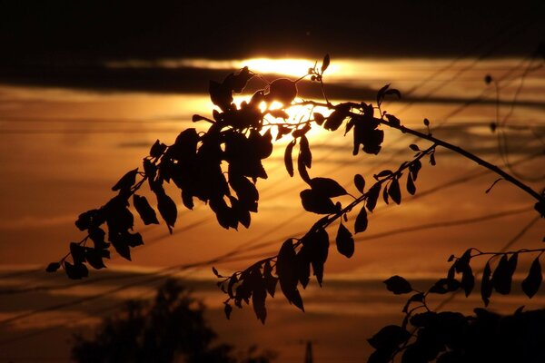 Angle de vue réussi pris au coucher du soleil