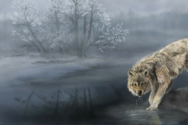 Dessin d un loup en hiver dans la nature