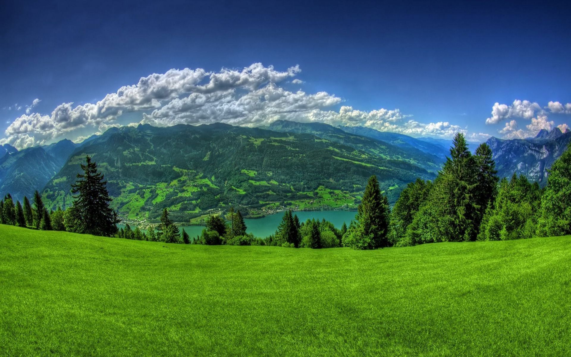 fields meadows and valleys landscape grass hayfield nature tree wood outdoors sky grassland hill summer rural fair weather field mountain pasture countryside scenic sight