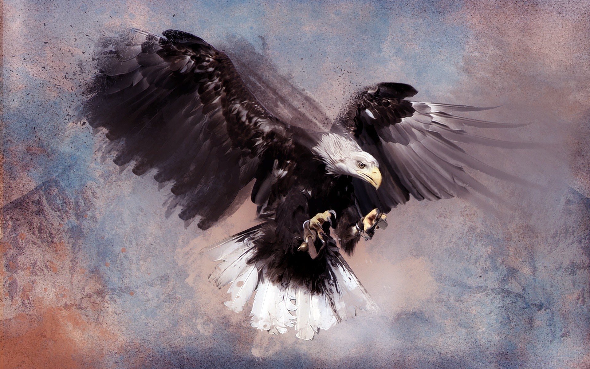 créatif oiseau aigle raptor vol faune nature voler faucon majestueux