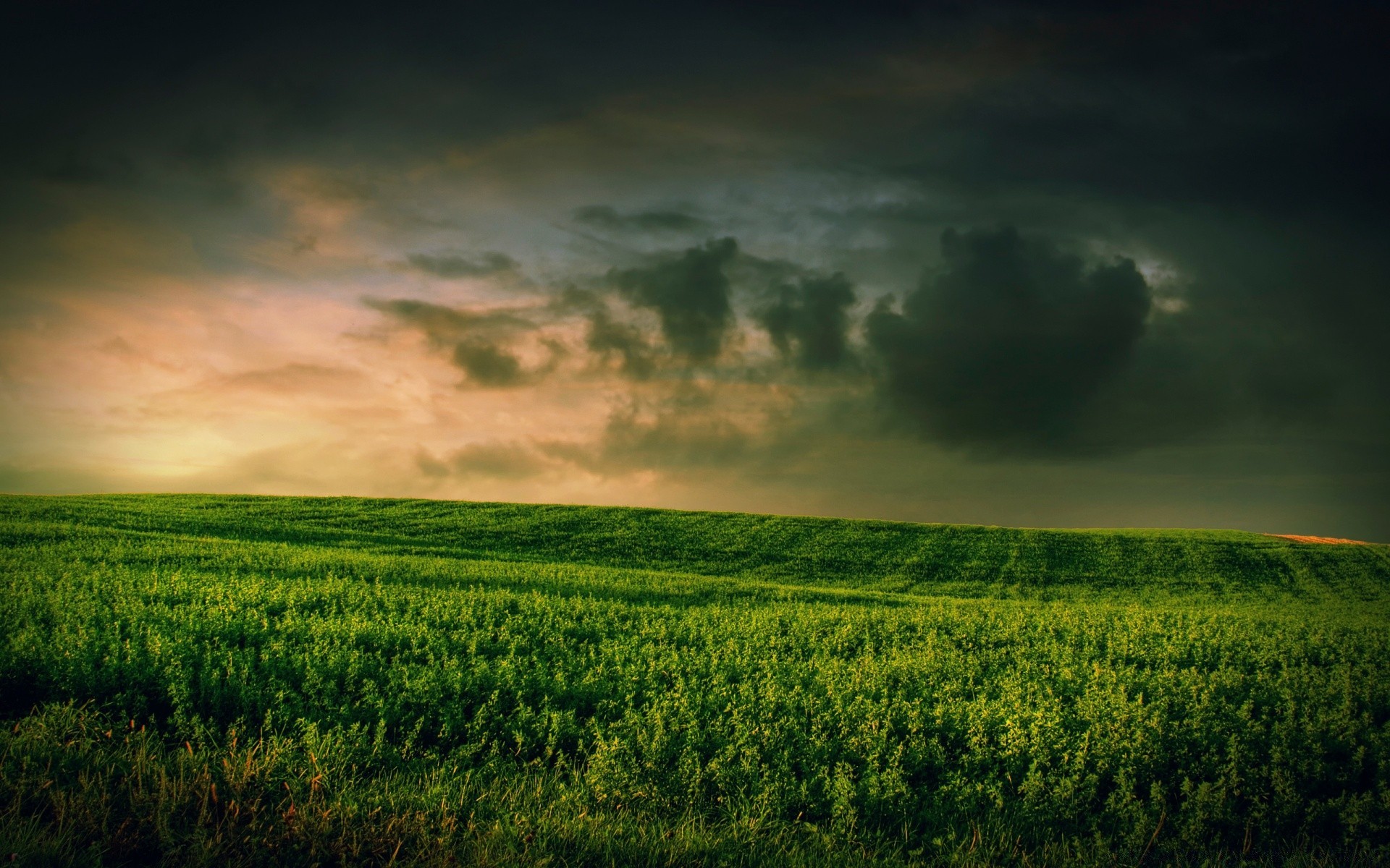 creativo paesaggio agricoltura cielo natura alba campo tramonto terreni coltivati azienda agricola campagna sole rurale pascolo all aperto bel tempo estate albero luce