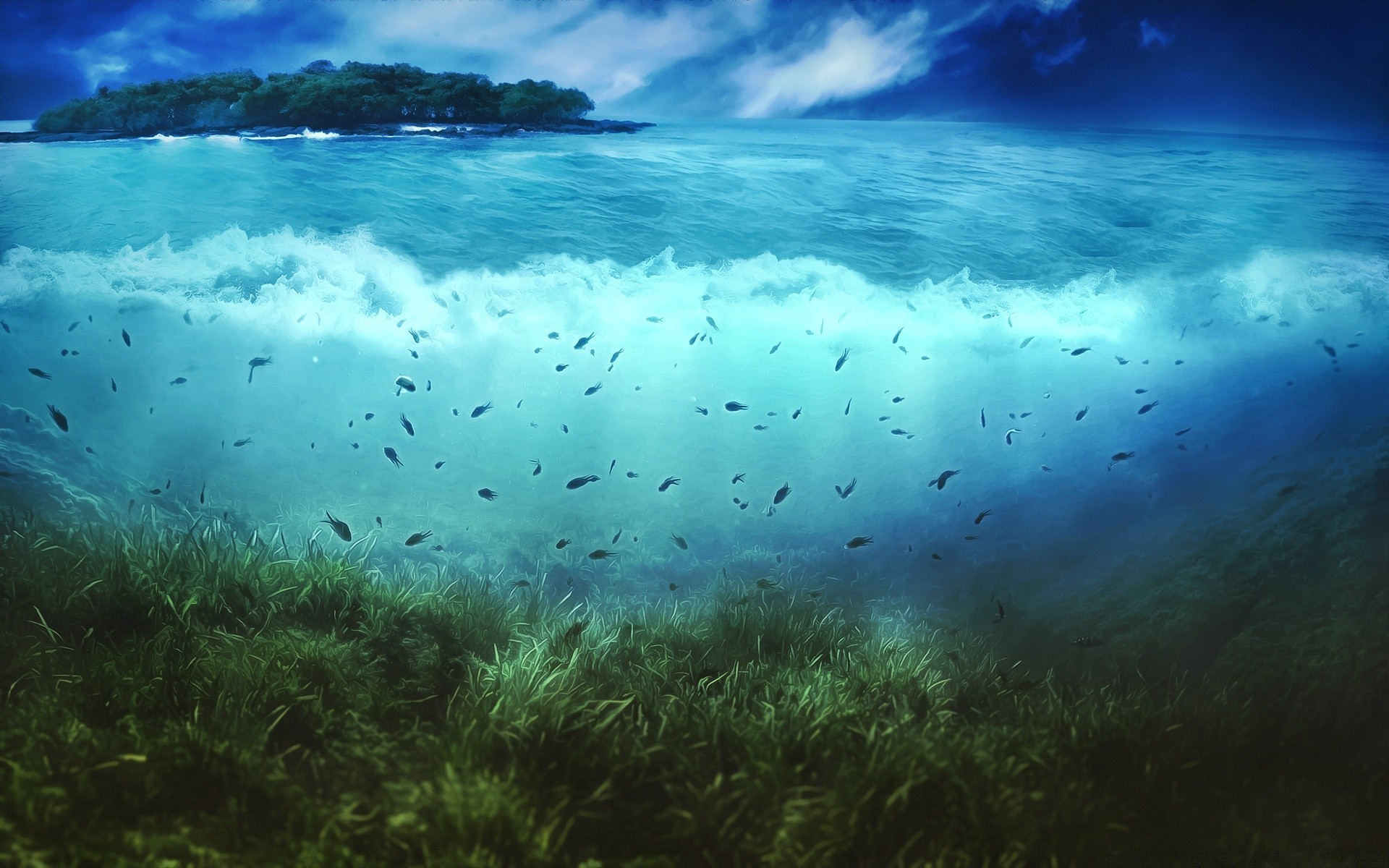 创意 水下 水 海 海洋 自然 好天气 景观 景观 礁石 太阳 桌面 珊瑚 夏天 风景 旅游 热带 明确 光 颜色