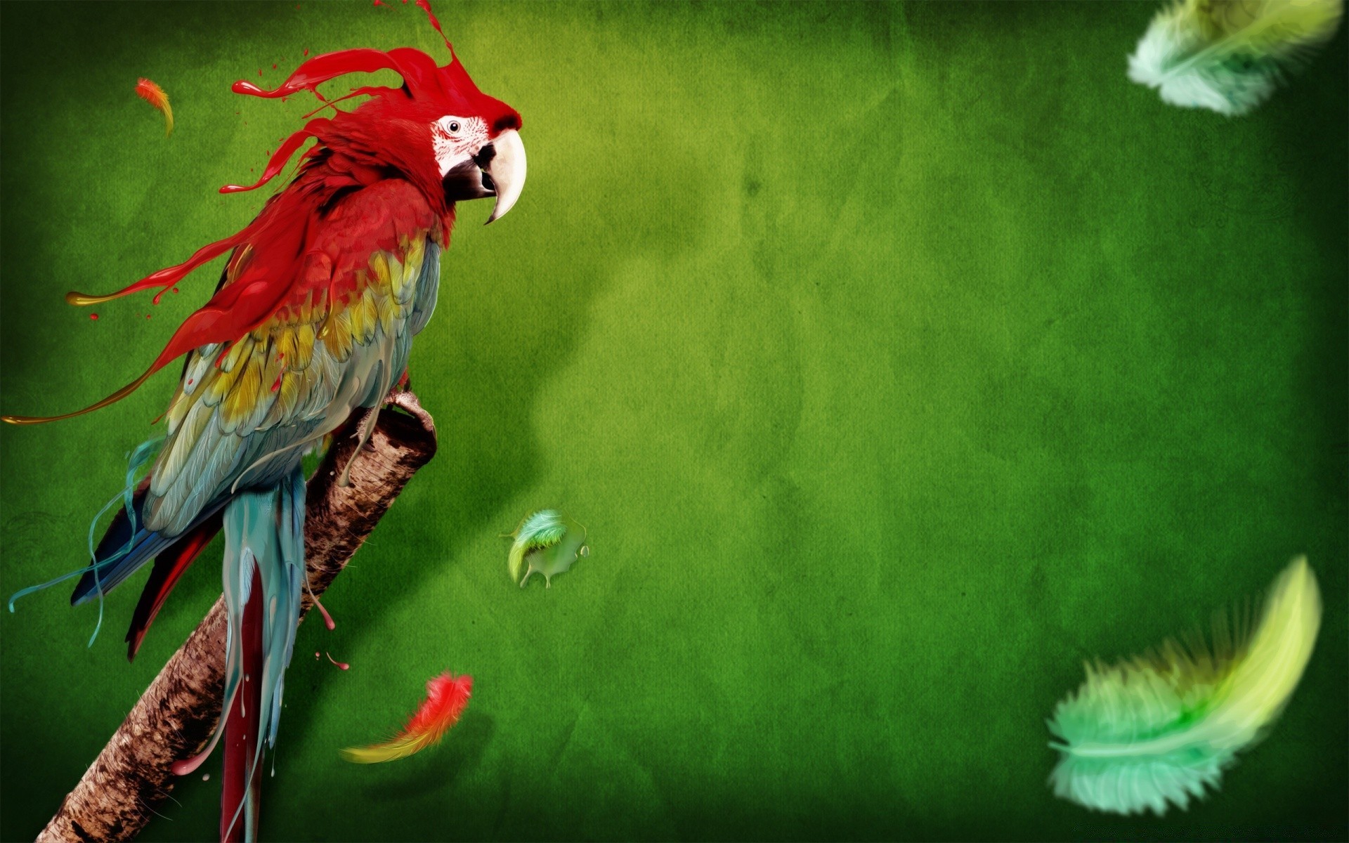 creativo pájaro loro pluma vida silvestre guacamayo ala animal naturaleza volar color