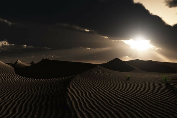 Paisaje desierto al atardecer. Dunas en los últimos rayos del sol