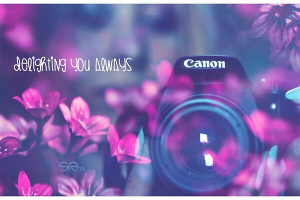 Image of Canon camera photo in colors