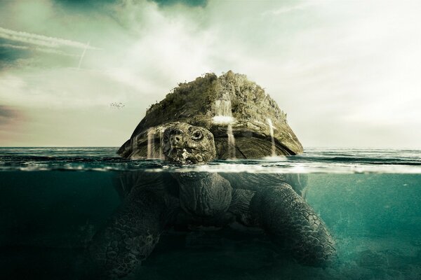 Креативный рисунок черепахи в виде острова
