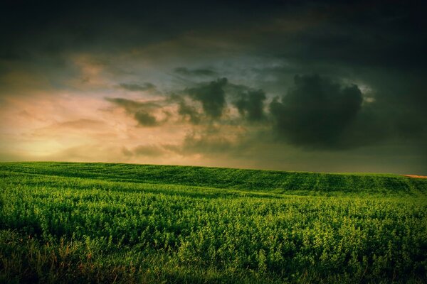 Die Landwirtschaft sieht schön aus (wenn auf dem Bild). Himmel, Ferne, Natur