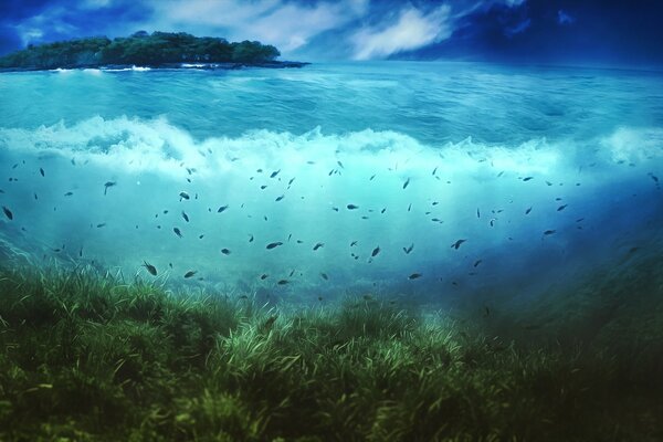 Vista subacquea dell acqua dell oceano