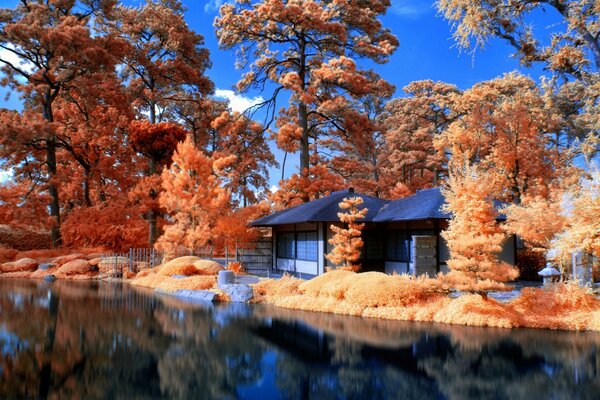 Landschaft des goldenen Herbstes. Ein Haus im Wald