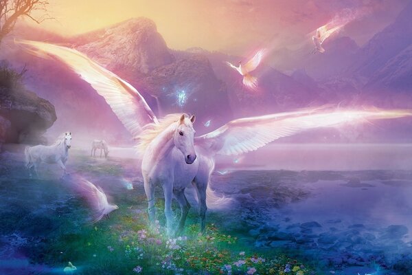 Fabulous Pegasus and purple sunset