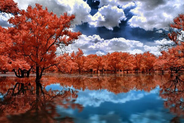 Herbstlandschaft von Bardenbäumen im Wasser