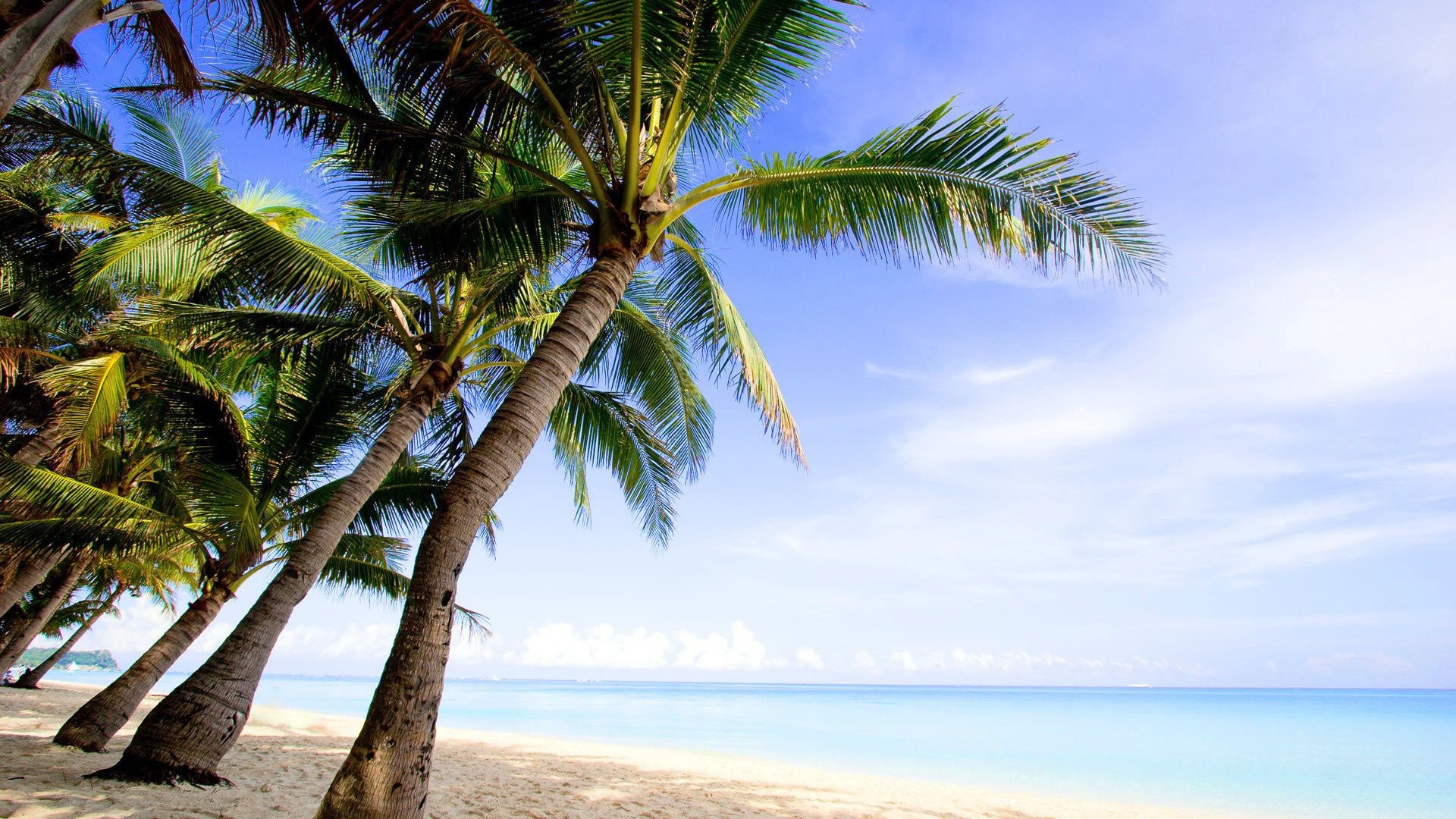 mer et océan plage sable tropical été soleil océan mer voyage vacances eau idylle île détente turquoise exotique paysage paradis beau temps station balnéaire mer